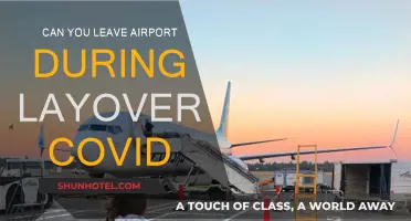 Airport Layover: Can You Leave During COVID?