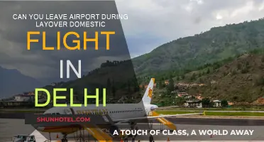 Exploring Delhi During a Layover: What You Need to Know