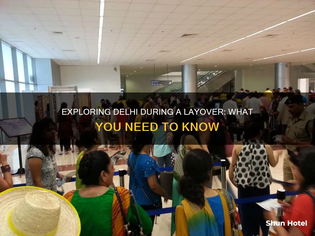 can you leave airport during layover domestic flight in delhi
