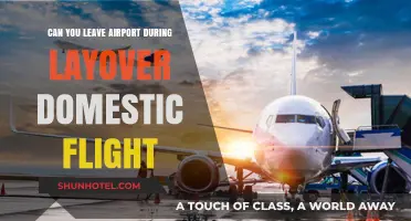 Exploring During Layovers: What Are Your Options?