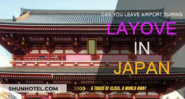 Exploring Japan During a Layover: Can You Leave the Airport?