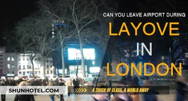 London Layover: Can You Leave the Airport?