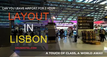 Exploring Lisbon During a Long Layover