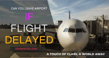 What to Do When Your Flight is Delayed