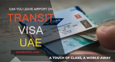 Transit Visa Travails: Can You Leave the UAE Airport?