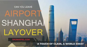 Shanghai Airport Layover: Can You Leave?
