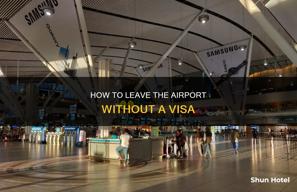 can you leave airport without avisa