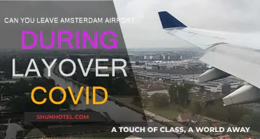 Amsterdam Layover: Can You Leave the Airport?