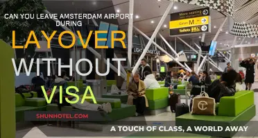 Amsterdam Airport Layover: Do You Need a Visa to Leave?