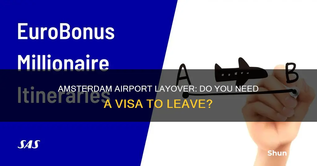 can you leave amsterdam airport during layover without visa