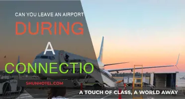 Exploring the Airport: Connection Layovers and Beyond