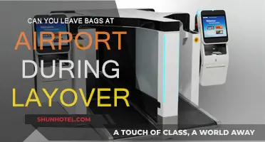 Exploring Airport Bag Storage Options During Layovers