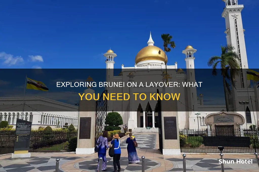 can you leave brunei airport in transit