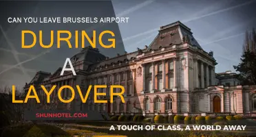 Exploring Brussels on a Layover: Can You Leave the Airport?