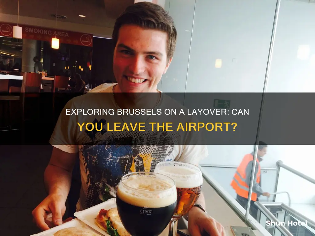 can you leave brussels airport during a layover