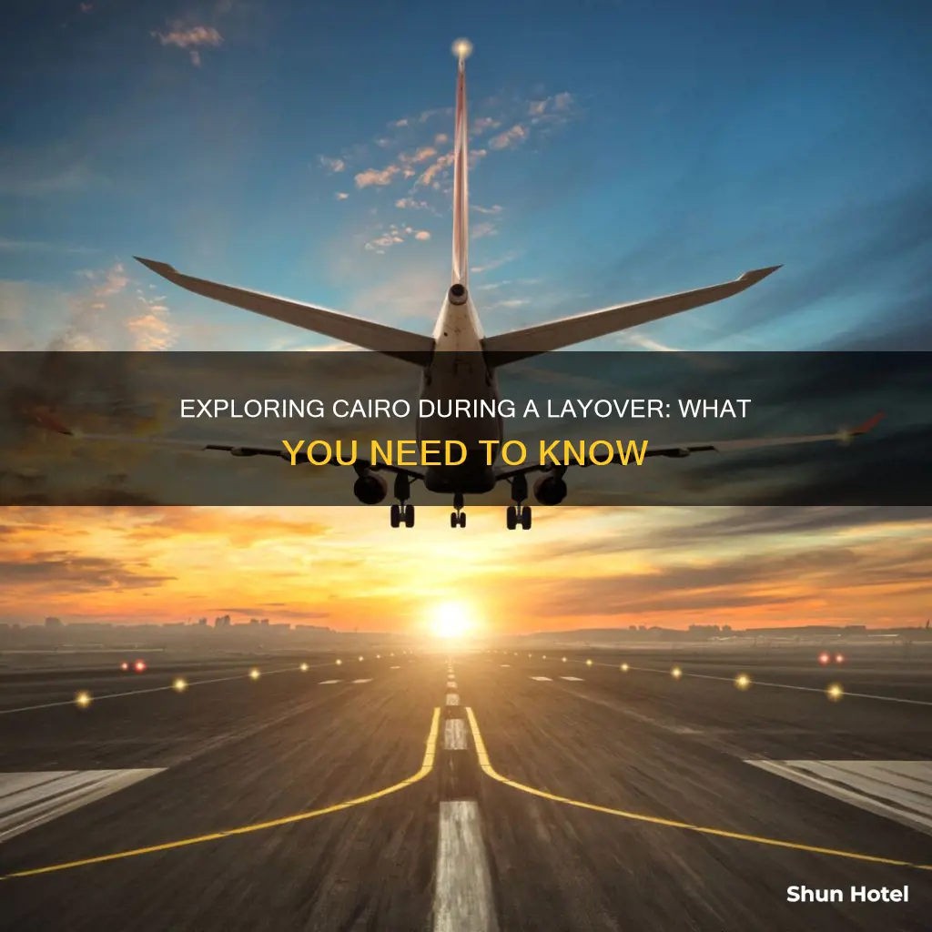 can you leave cairo airport during layover