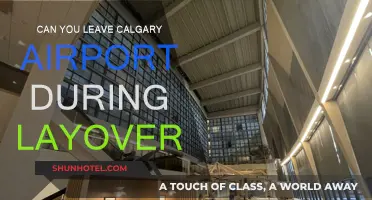 Exploring Calgary: Making the Most of Your Layover