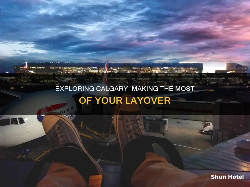 can you leave calgary airport during layover