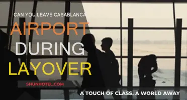 Exploring Casablanca During a Layover: Is It Possible?