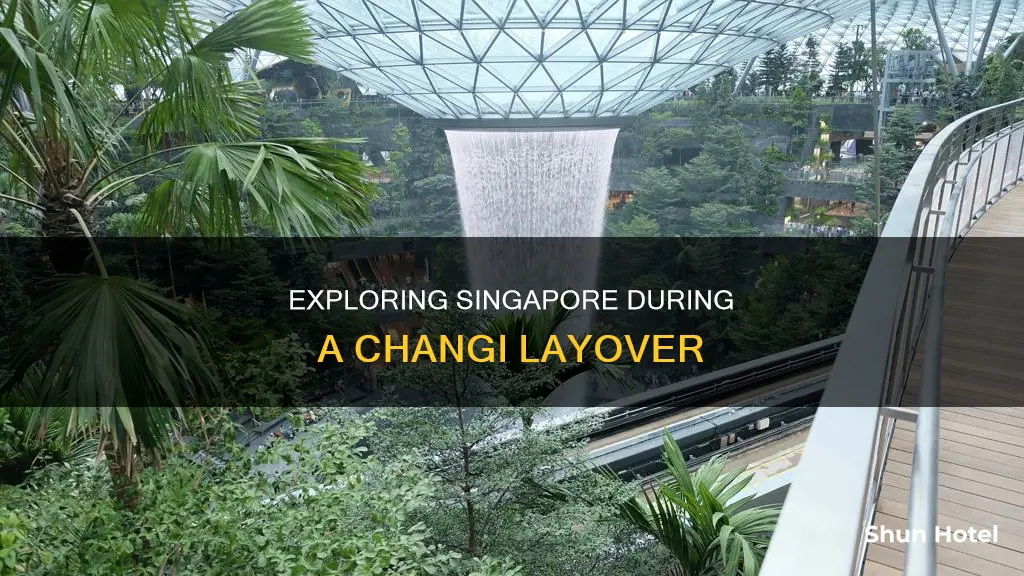 can you leave changi airport during layover