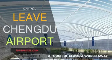 Exploring Chengdu: Airport Layover Travel Guide