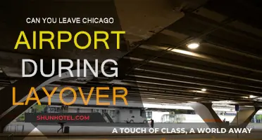 Exploring Chicago: Making the Most of Your Layover