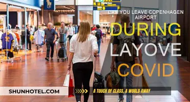 Copenhagen Airport Layover: Can You Leave During COVID?