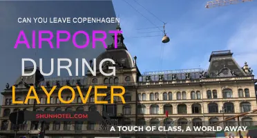 Exploring Copenhagen During a Layover: Is It Possible?