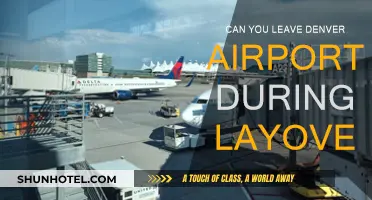 Exploring Denver: Layover Edition