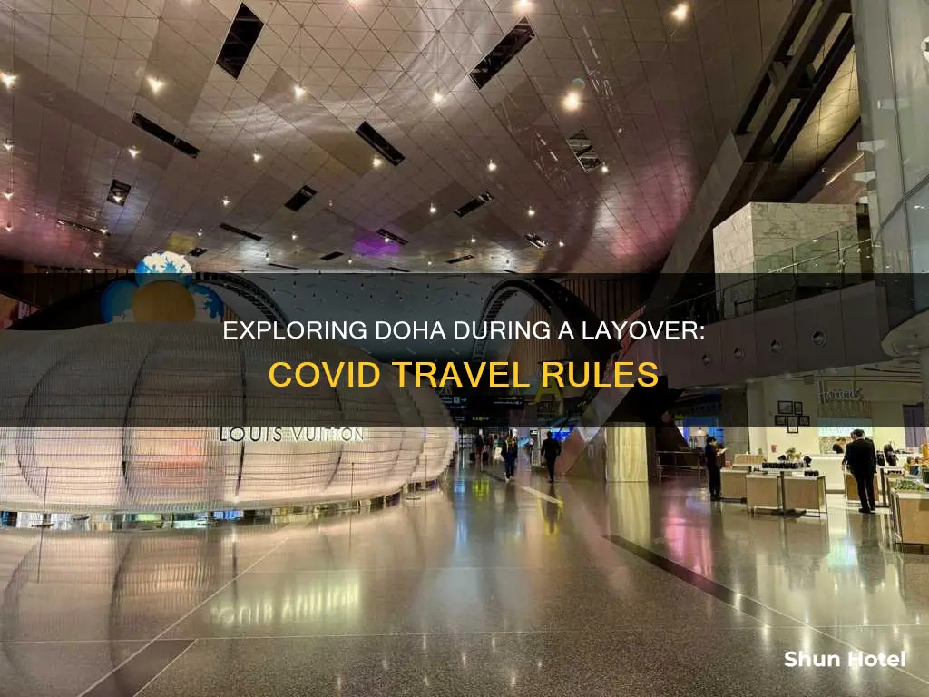 can you leave doha airport during layover covid