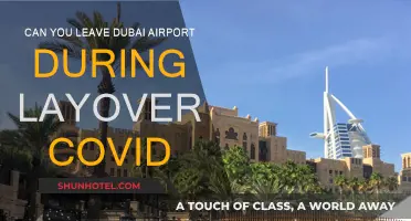 Dubai Layover: Can You Leave the Airport?