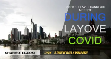 Frankfurt Layover: Can You Leave the Airport?