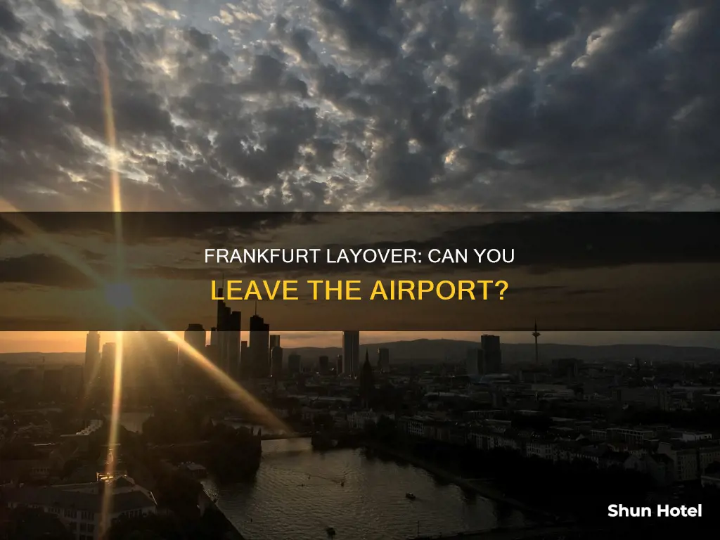 can you leave frankfurt airport during layover covid