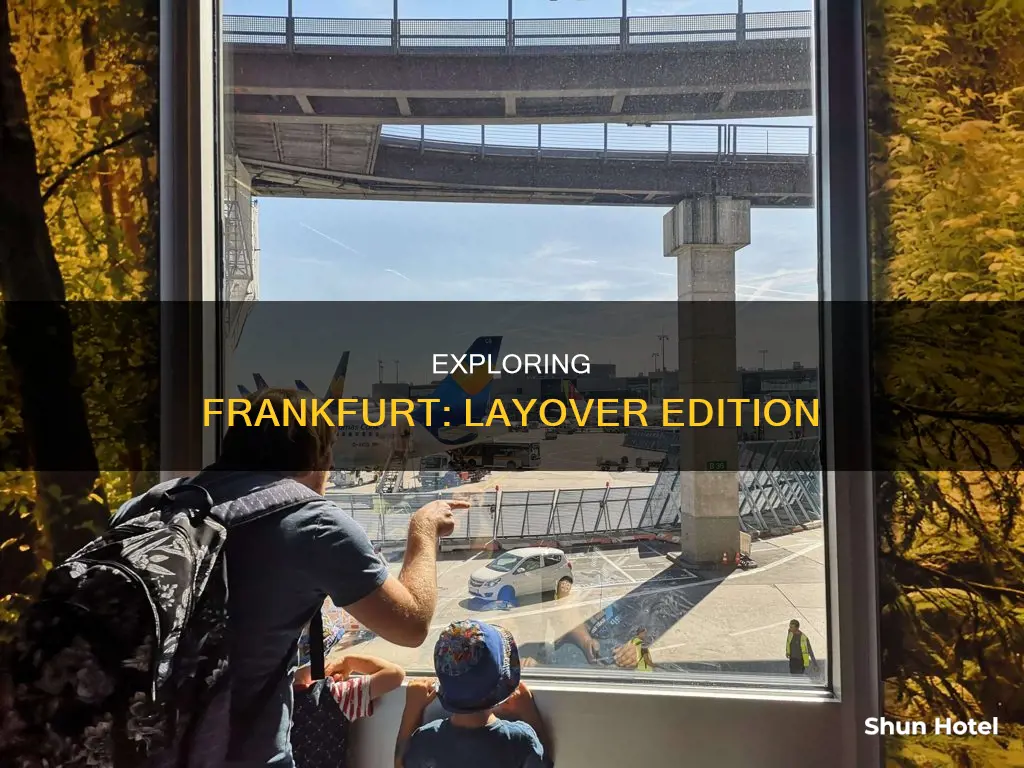 can you leave frankfurt airport during layover