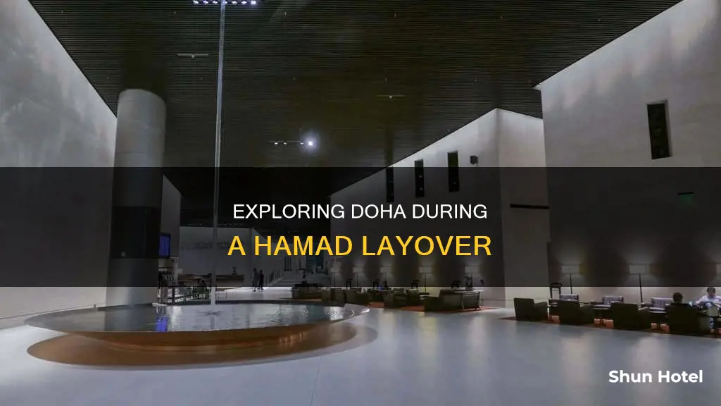 can you leave hamad international airport during layover