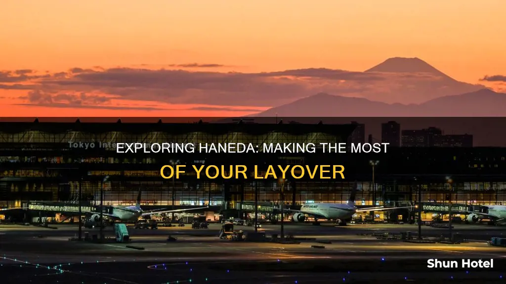 can you leave haneda airport during a layover