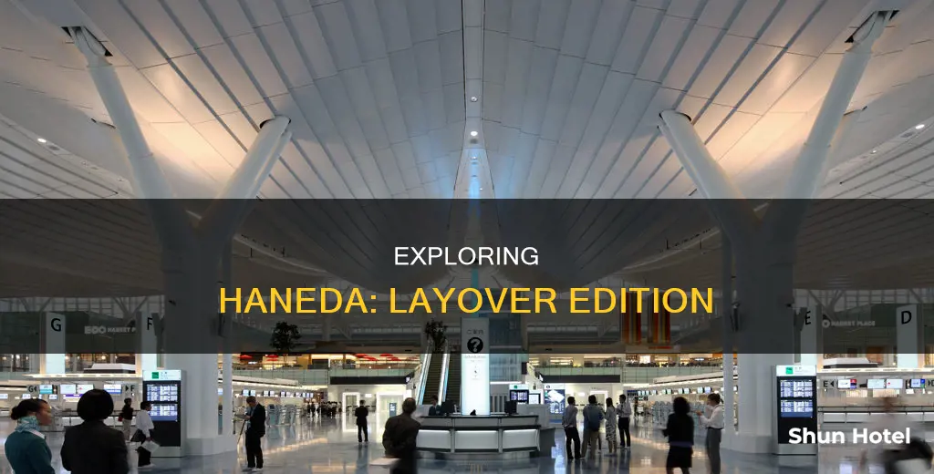 can you leave haneda airport during layover