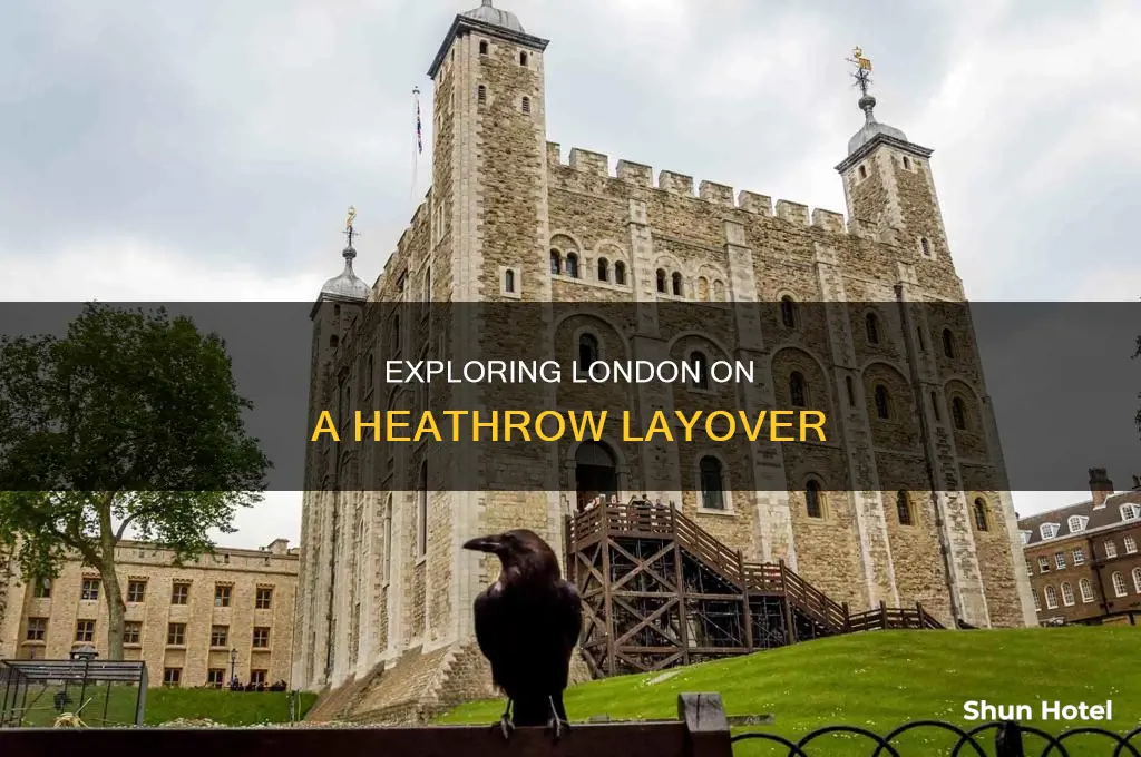 can you leave heathrow airport during a layover