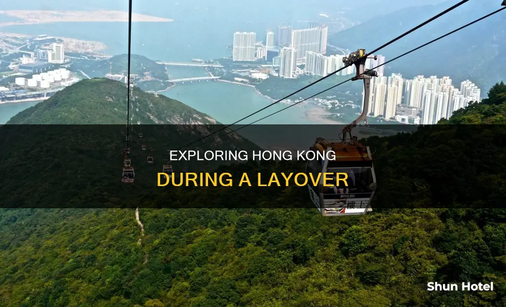 can you leave hk airport during layover