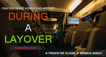 Exploring Hong Kong During a Layover: What You Need to Know
