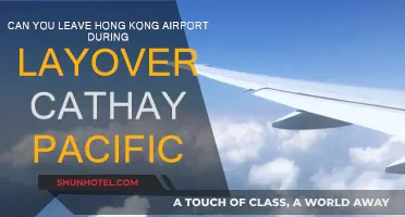 Exploring Hong Kong During a Layover: What You Need to Know