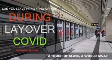 Hong Kong Airport Layover: Can You Leave?
