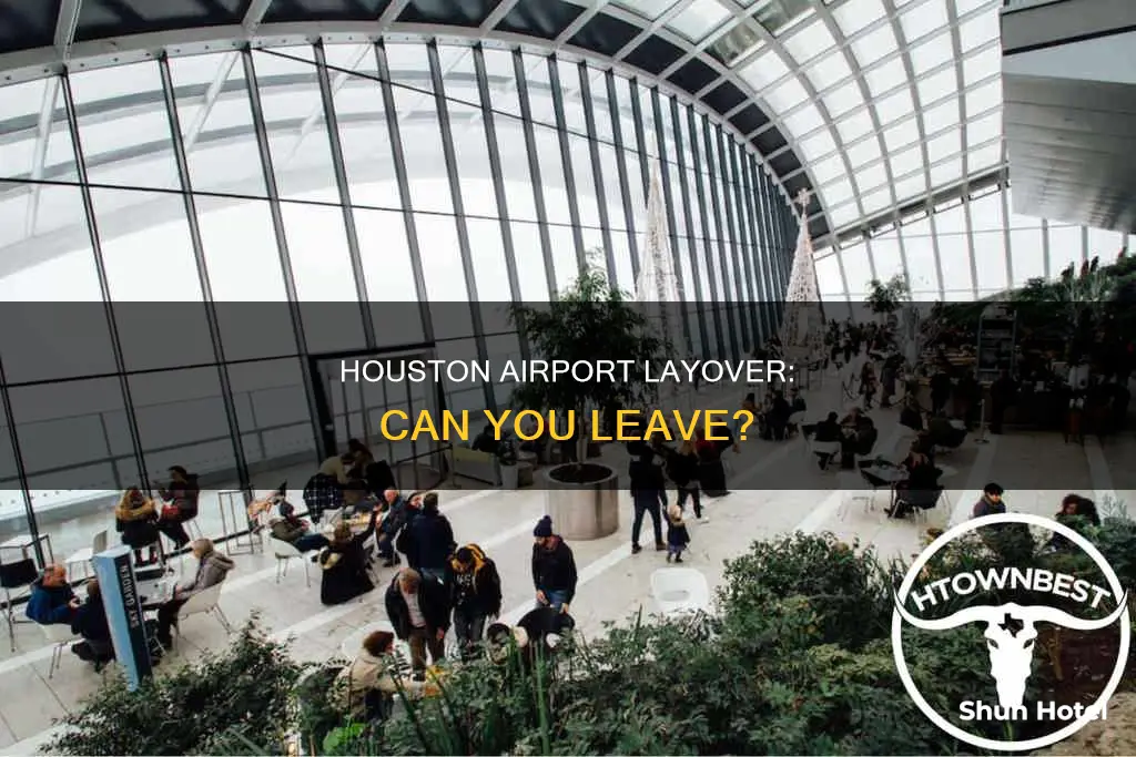 can you leave houston airport during layover
