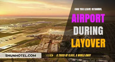 Exploring Istanbul During a Layover: Is It Possible?