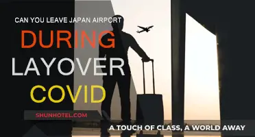 Japan Layover: Can You Leave the Airport During COVID?