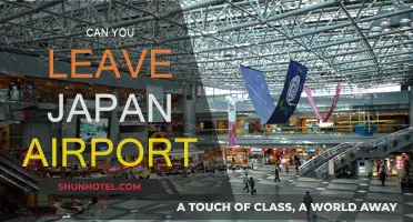 Exploring Japan: Can You Leave the Airport?