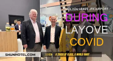 JFK Layover: Can You Leave the Airport?