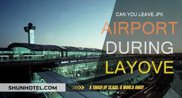 Exploring JFK During a Layover: What You Should Know