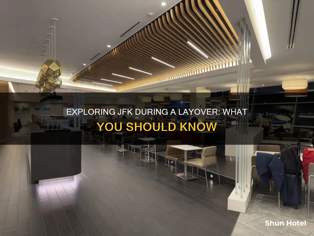 can you leave jfk airport during layover