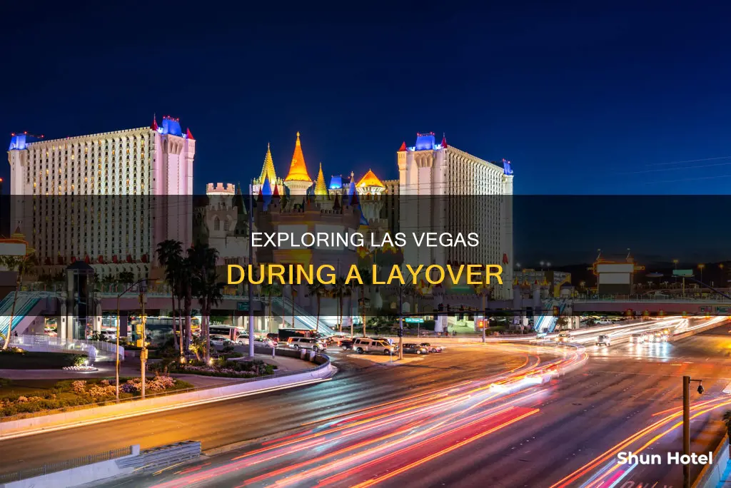 can you leave las vegas airport during layover